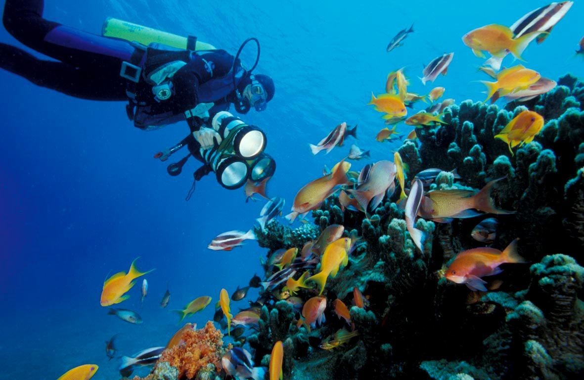 Snorkeling Tours In Aqaba Jordan